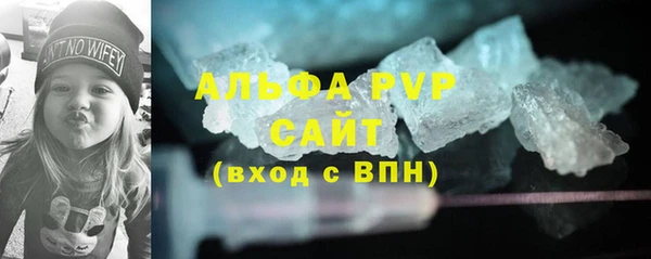 крисы Алзамай